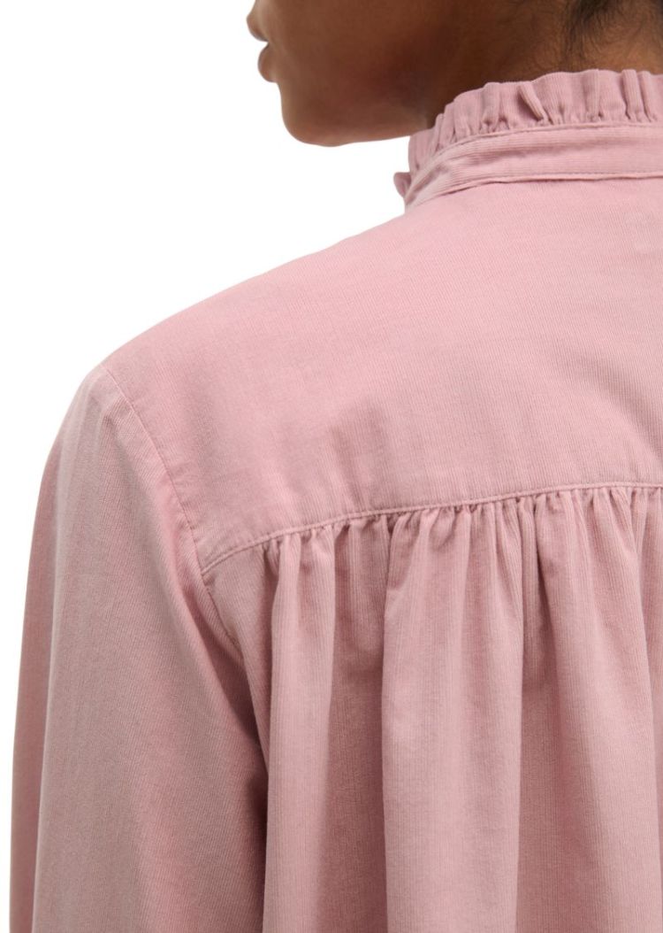  8168 Misty Rose